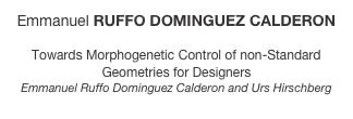 Emmanuel RUFFO DOMINGUEZ CALDERON

Towards Morphogenetic Control of non-Standard Geometries for Designers
Emmanuel Ruffo Dominguez Calderon and Urs Hirschberg
